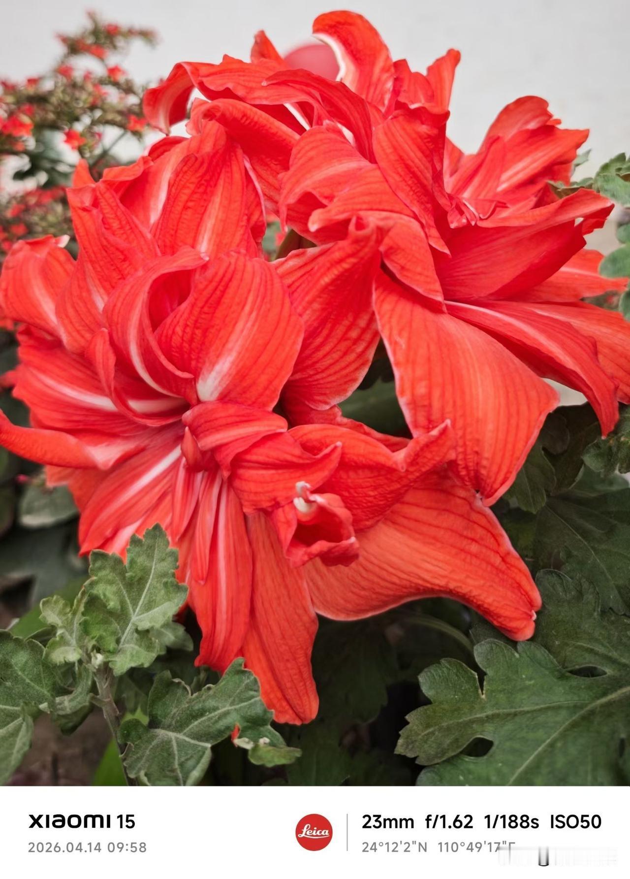 说出来你可能不信，搬进这个小区四年，我连对门邻居姓啥都不知道——不是我不合群，是