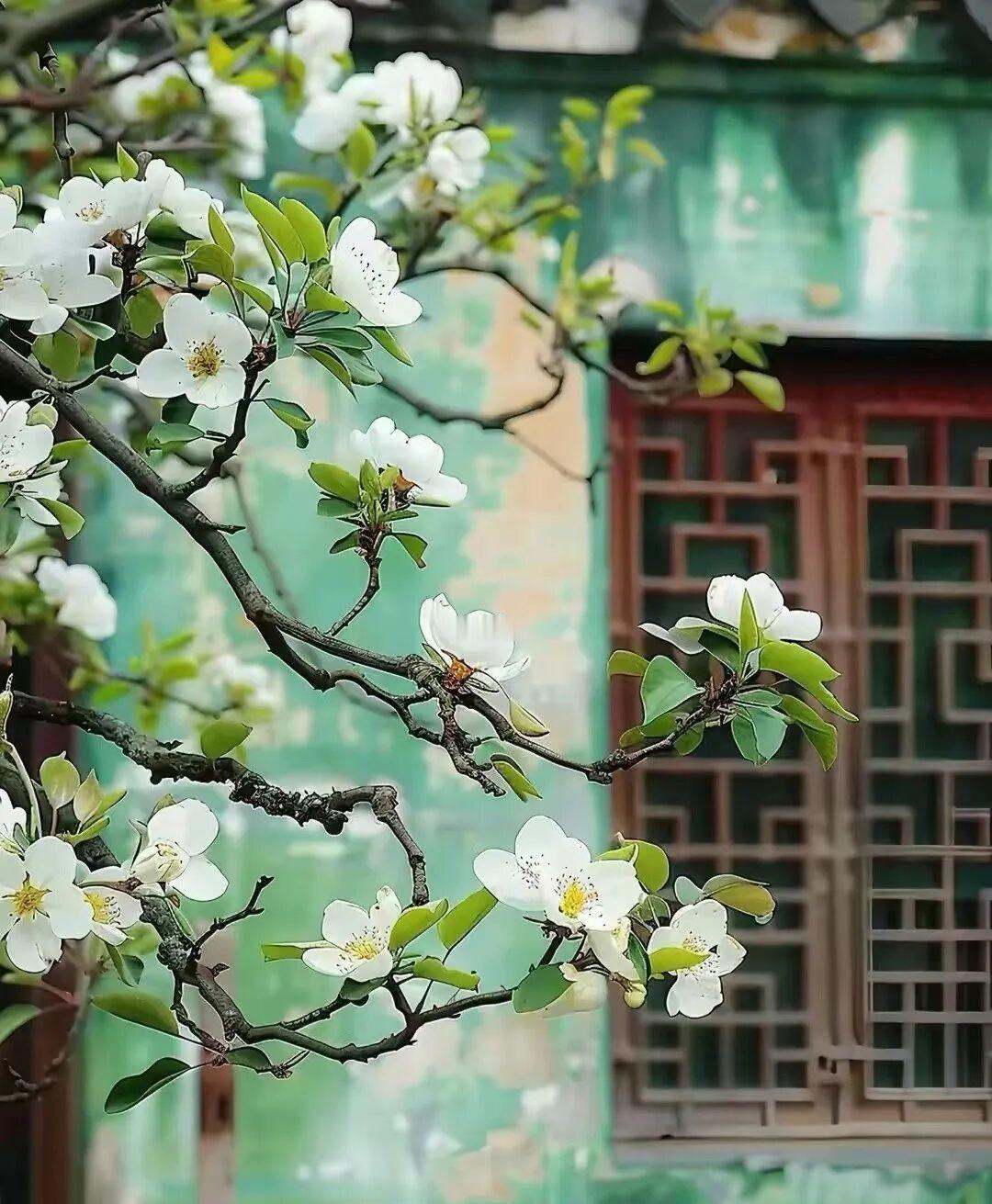 我问过豆包，如果一个人许诺你光明的未来却要你牺牲当下，你怎么看？
豆包告诉我，光