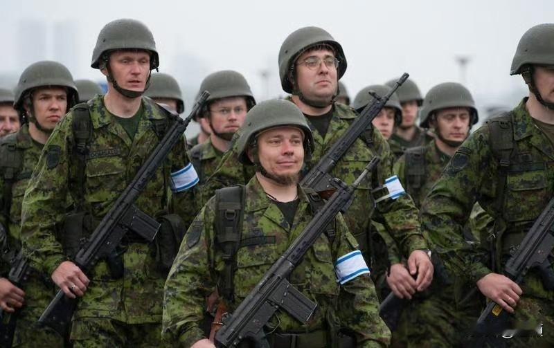 爱沙尼亚外长高调表态：只要搞清美国计划，就派军舰去霍尔木兹海峡支持美军。
从爱沙