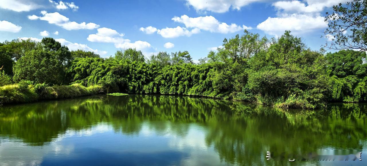 上联：雾薄山影淡，对下联云轻水色新