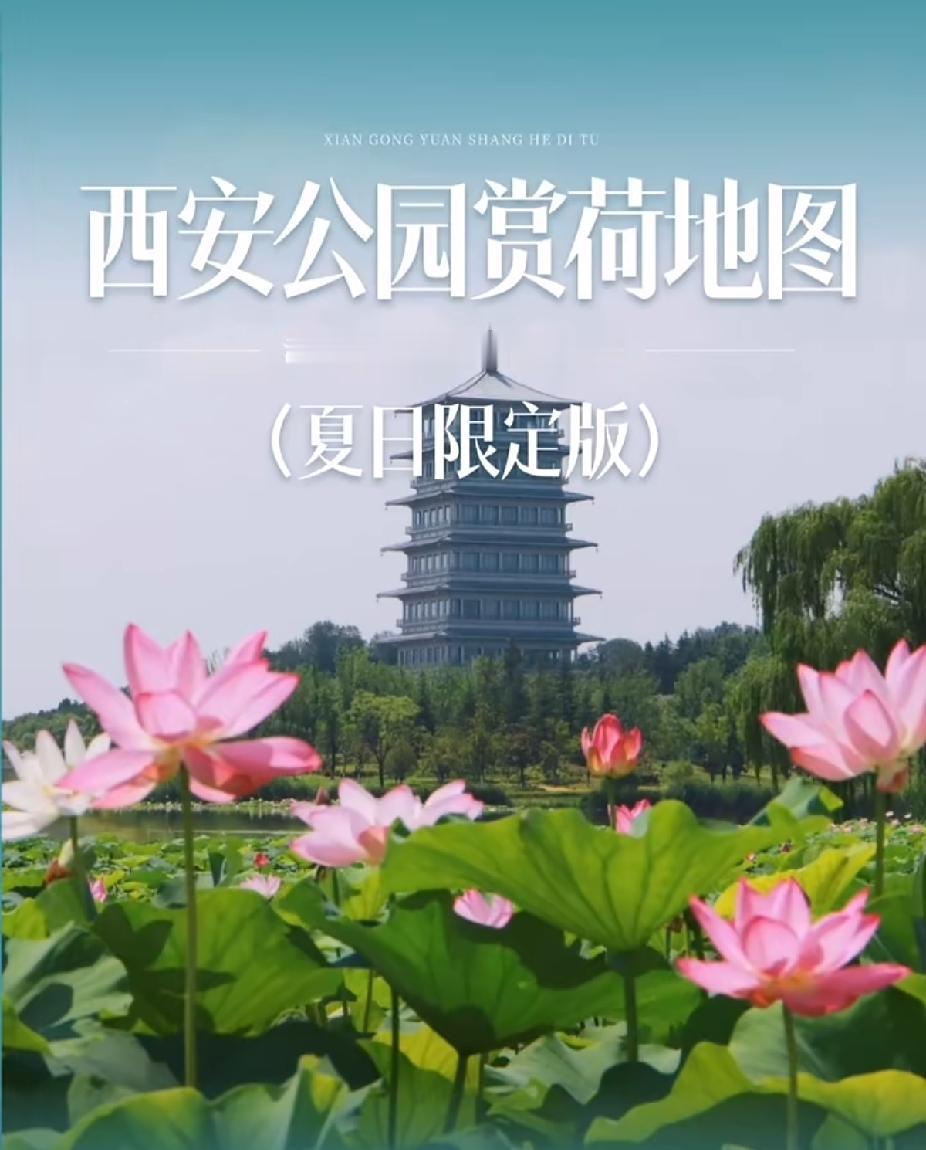 西安公园赏荷地图
从6月下旬到8月中旬