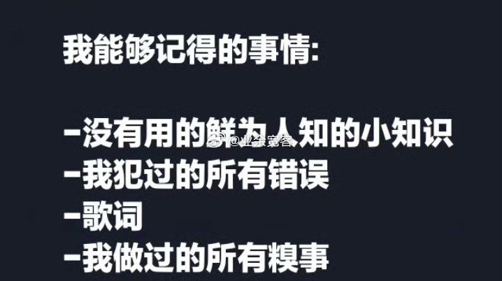 我能够记得的事情 