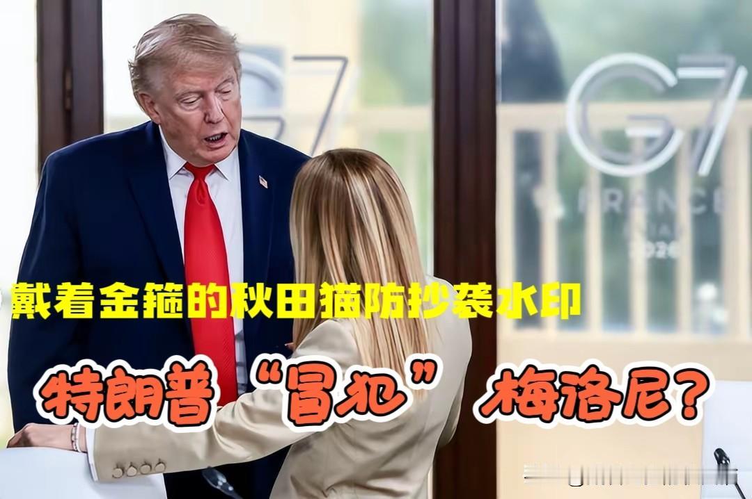 意大利美女总理回应特朗普“言语冒犯”：还是先管好你自己的支持率吧，双方斗嘴恐已波