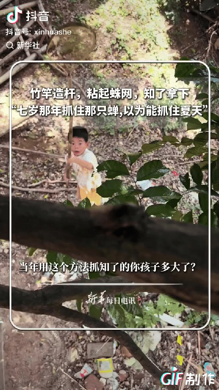 “人怎么可以这么聪明！”小时候，遇到知了拿上一根竹竿，粘起蛛网便可以拿下知了，本