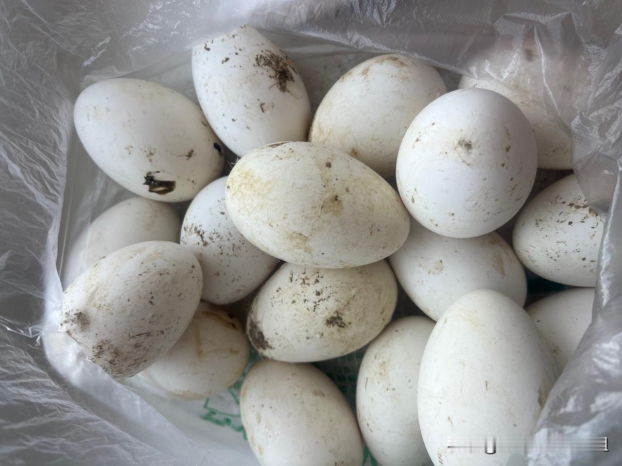 这么脏的蛋确定不洗吗？我以前鸡蛋洗两三遍，友友们给我科普鸡蛋洗了就变坏，问题是，