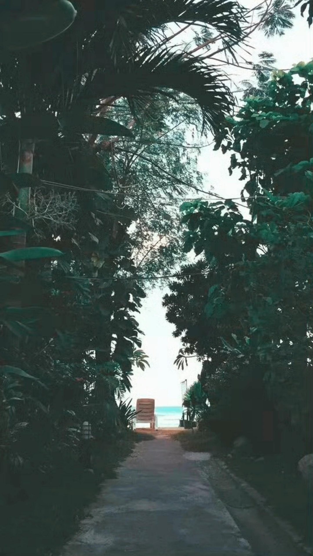 爱一个人最大的诚意是什么？找一个跟自己一样有良心的人，在你看不见的地方忠诚于你，