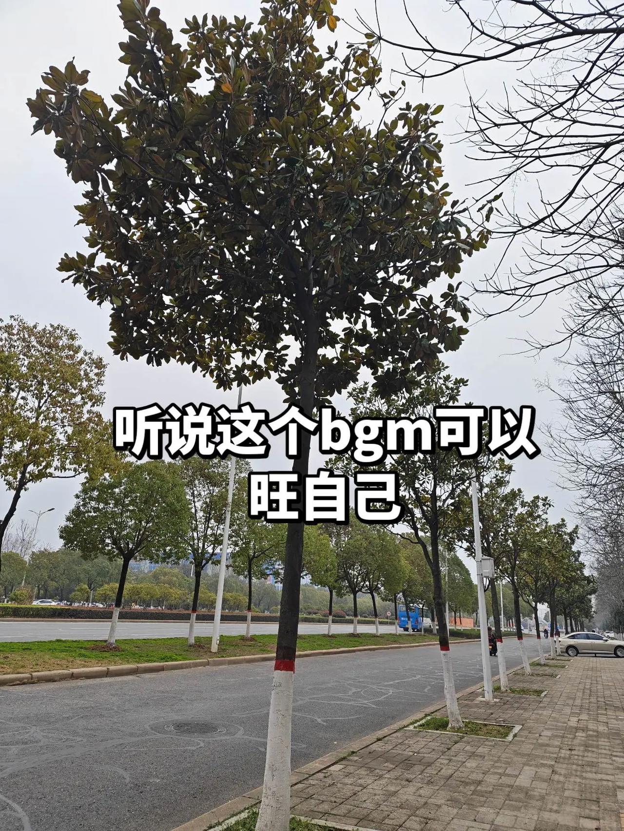 今年我一定会得偿所愿