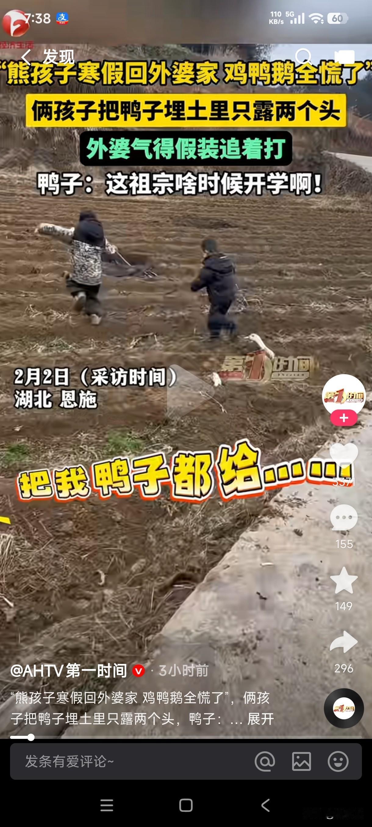 熊孩子放寒假回外婆家算是放飞自我了，但鸡鸭鹅全慌了，俩孩子居然把鸭子埋土里只露两