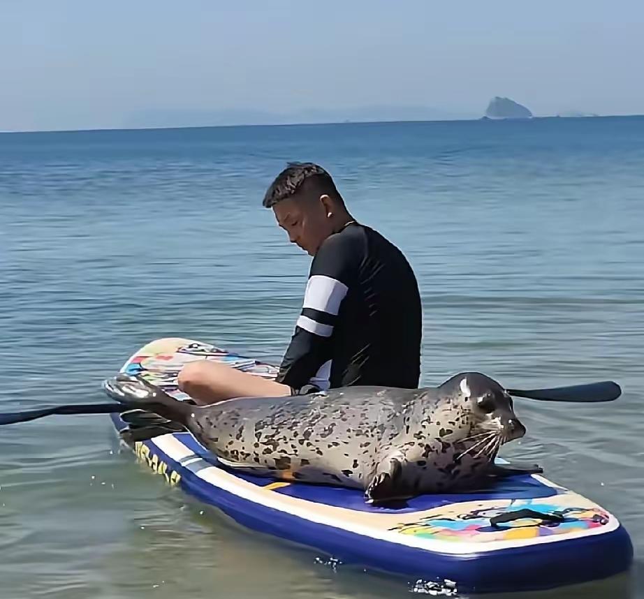 海岛中秋太好嗑！娜娜彻底玩嗨，连捕鱼都抛到脑后了🌊
 
今晚海上风好大，海浪不