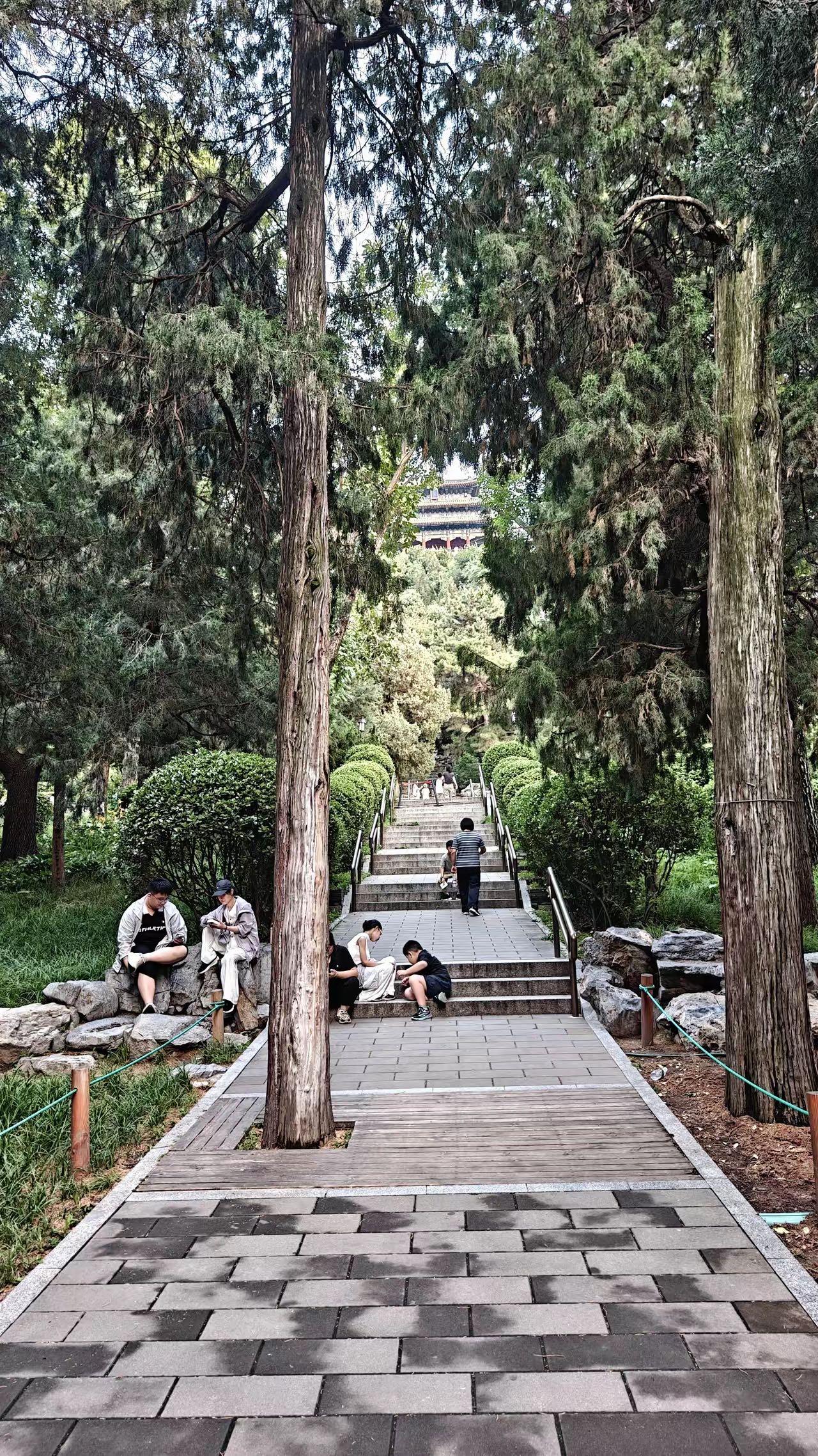 昨晚估计很多人没睡好。北京几乎下了一夜的雨。很大！虽然凉快了很多，但联想到多地被