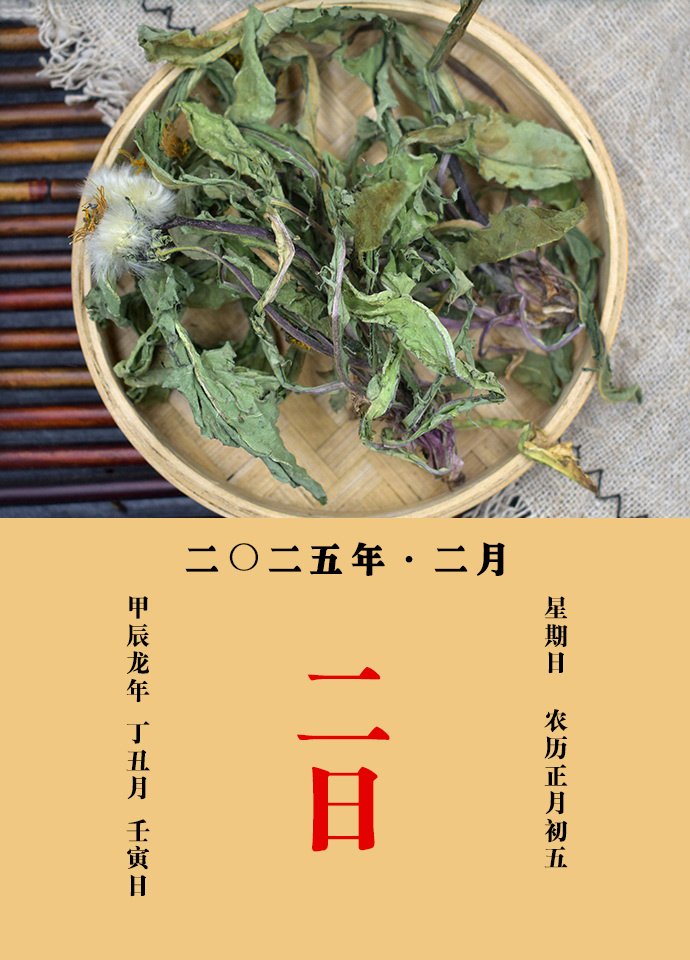 每天一味中草药  蒲公英，味苦甘，性寒，归肝、胃经。主治：清热解毒，消肿散结，利