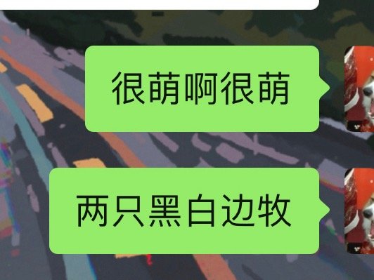 分享图片 