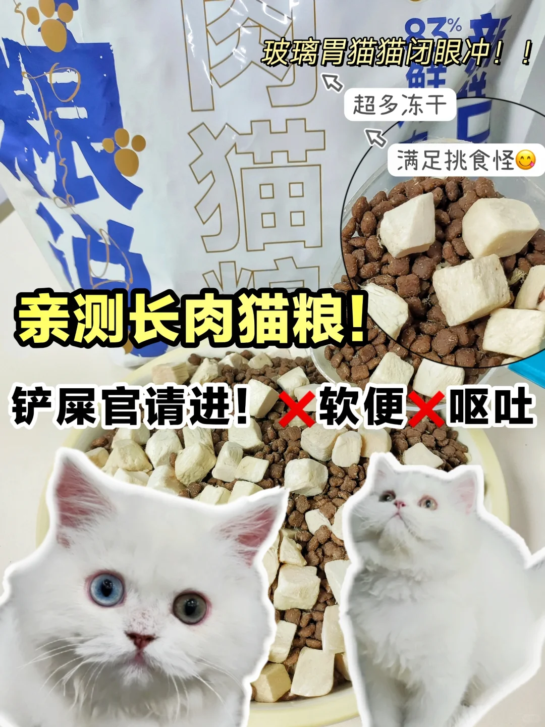 老爸测评经验！618选热门猫粮就看这篇？