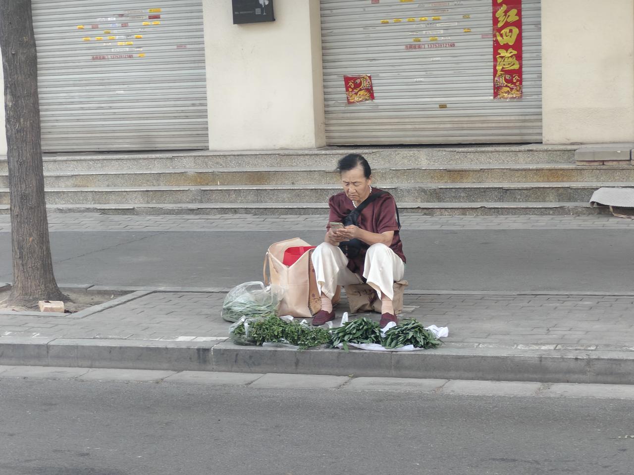 在运城盐湖西街，我发现一位老太在卖野菜，有马齿及我不认识的一种野菜，一元一堆。这