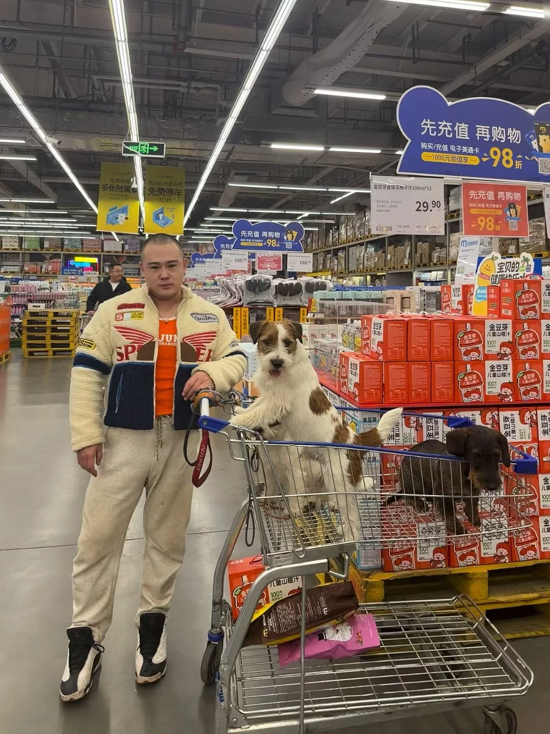 杰克罗素还是太洋气了