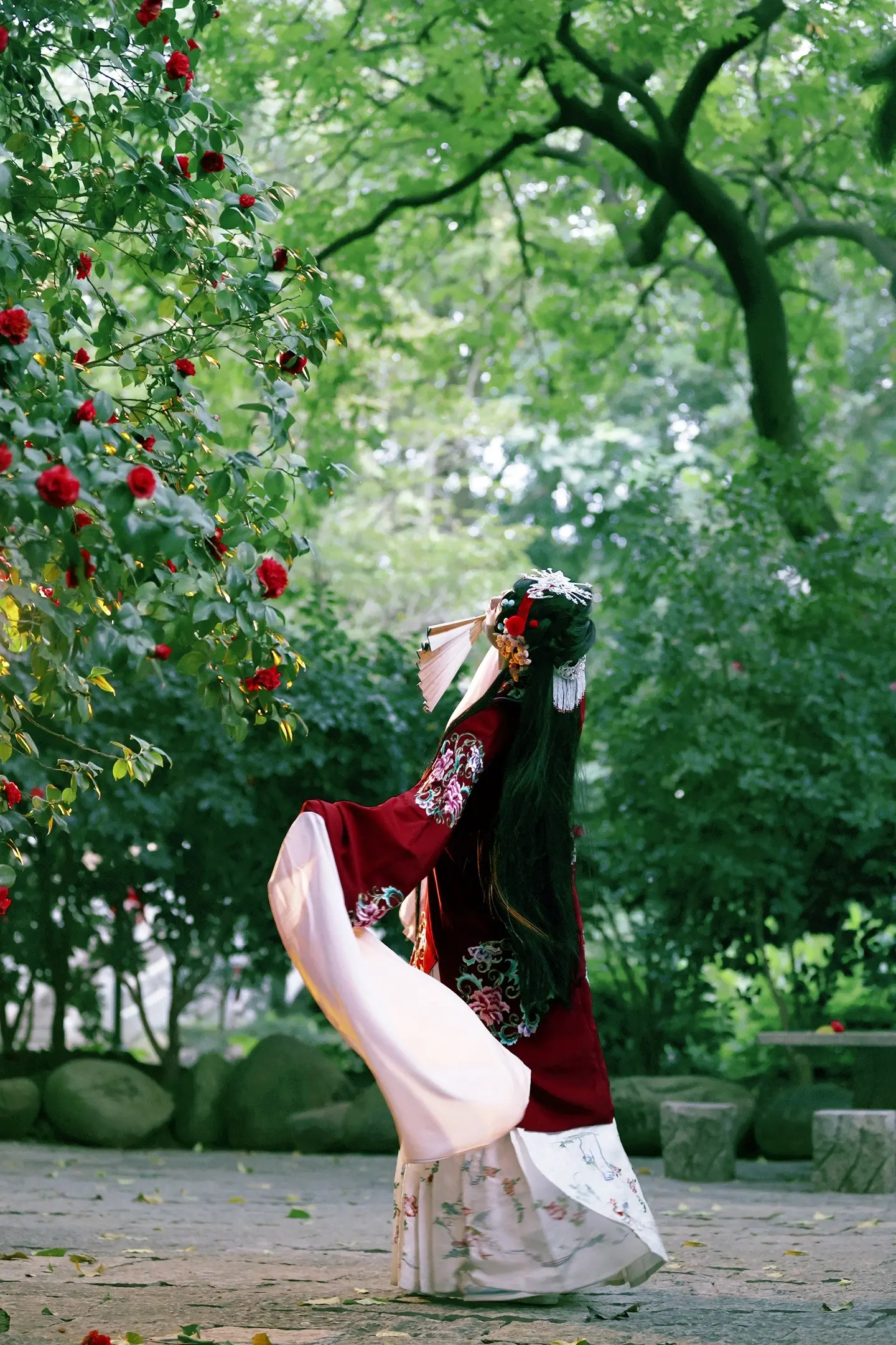 山茶花。