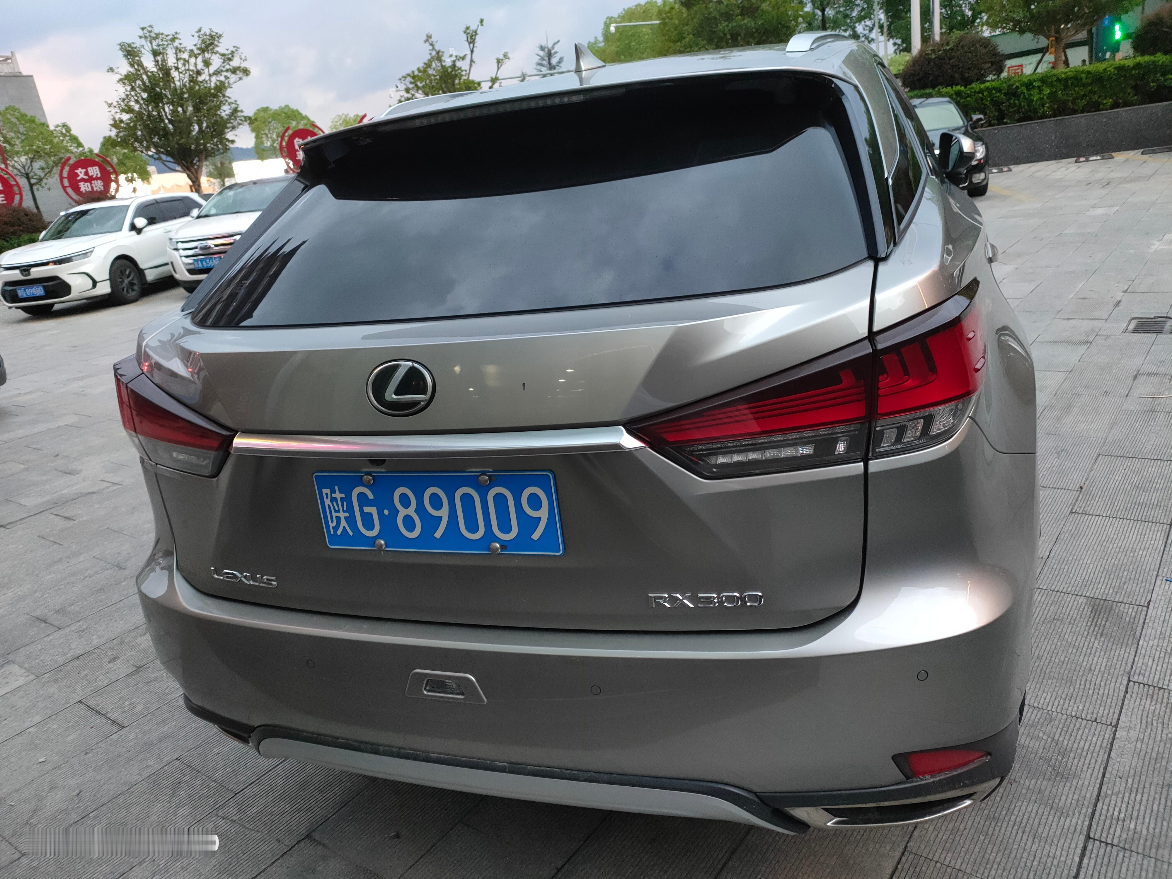 全球车牌 陕G89009雷克萨斯RX300 安康