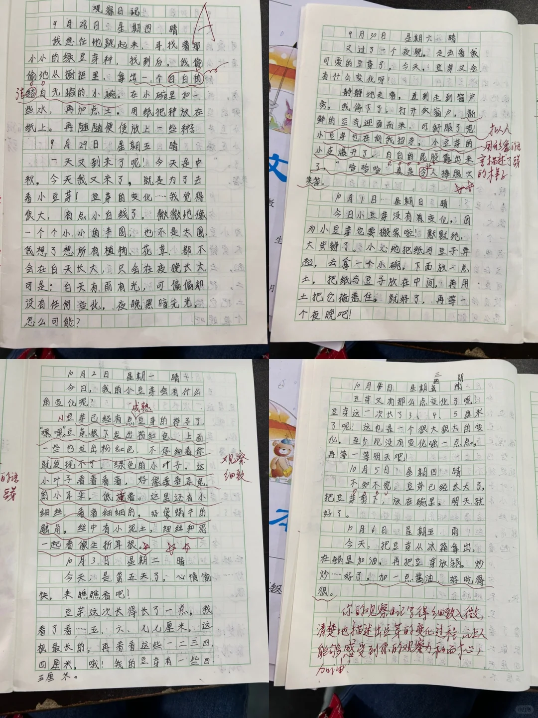 三单元《观察日记》习作