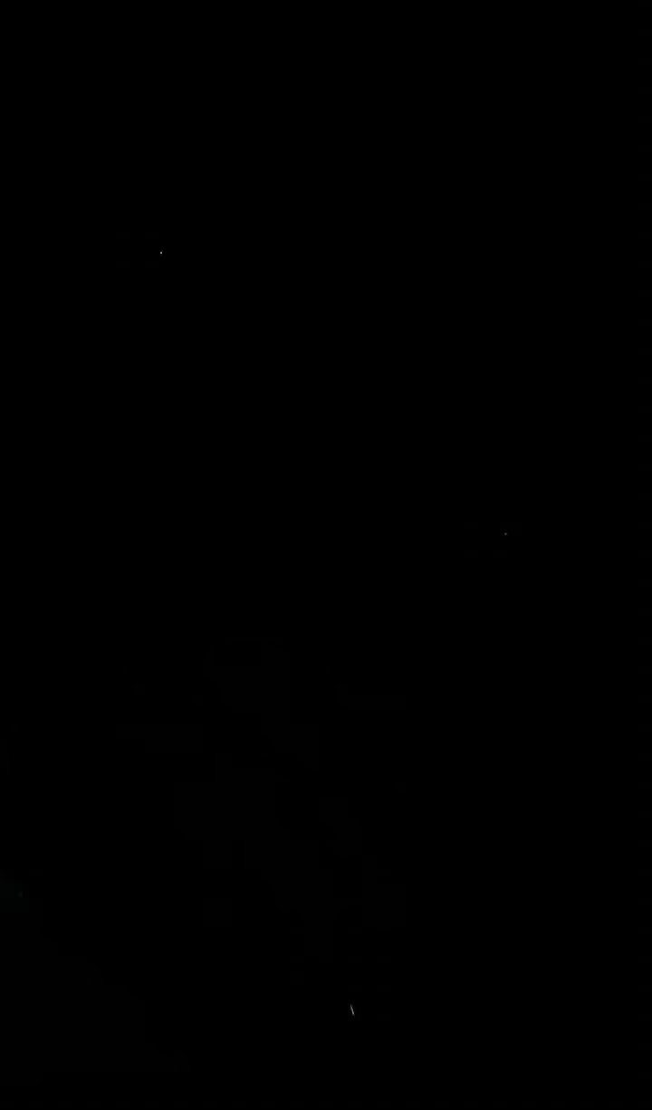 让我们一起去看流星雨吧！流星雨