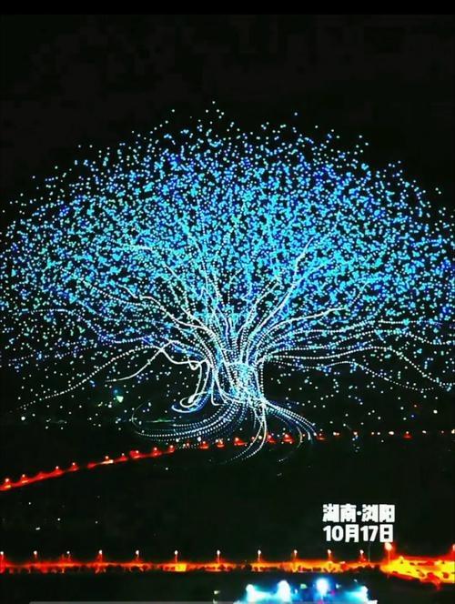 怪哉！特斯拉老板马斯克刚转发一条浏阳烟花视频！

浏阳烟花带着无人机直接破了吉尼