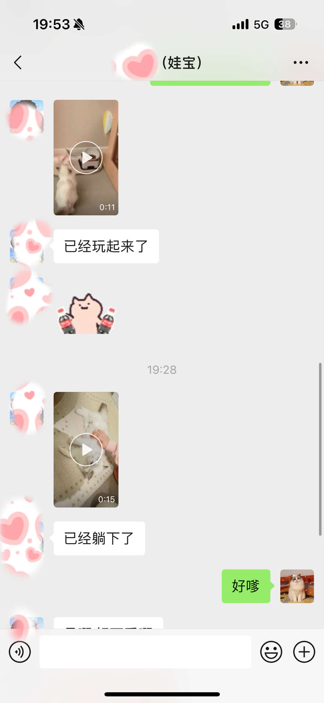 今天到家的三个宝，已成功打入家庭内部，俘获了人类的心，拿下了爸爸妈妈。 ​​​