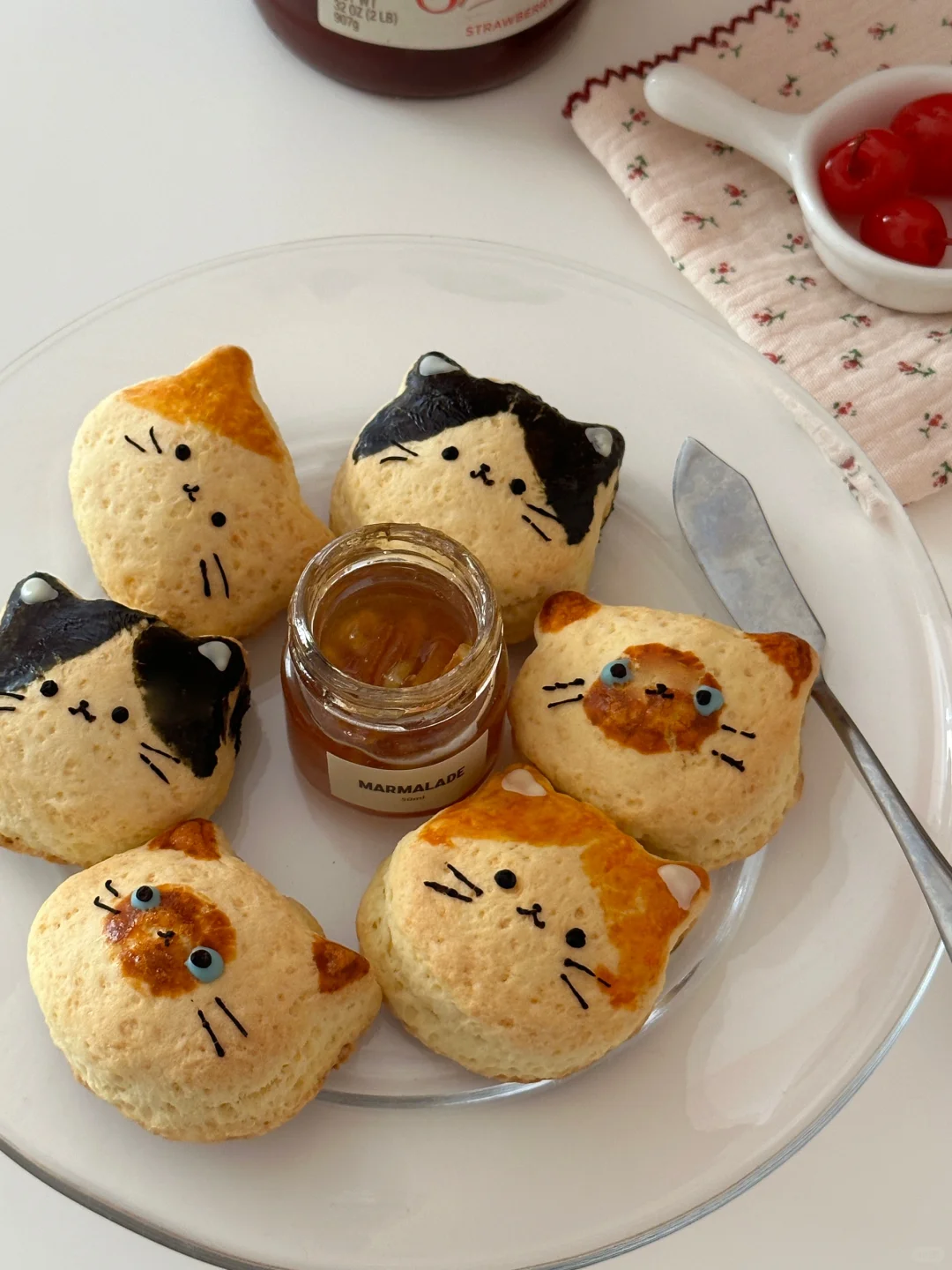 🐱Cat Scone🍪💗