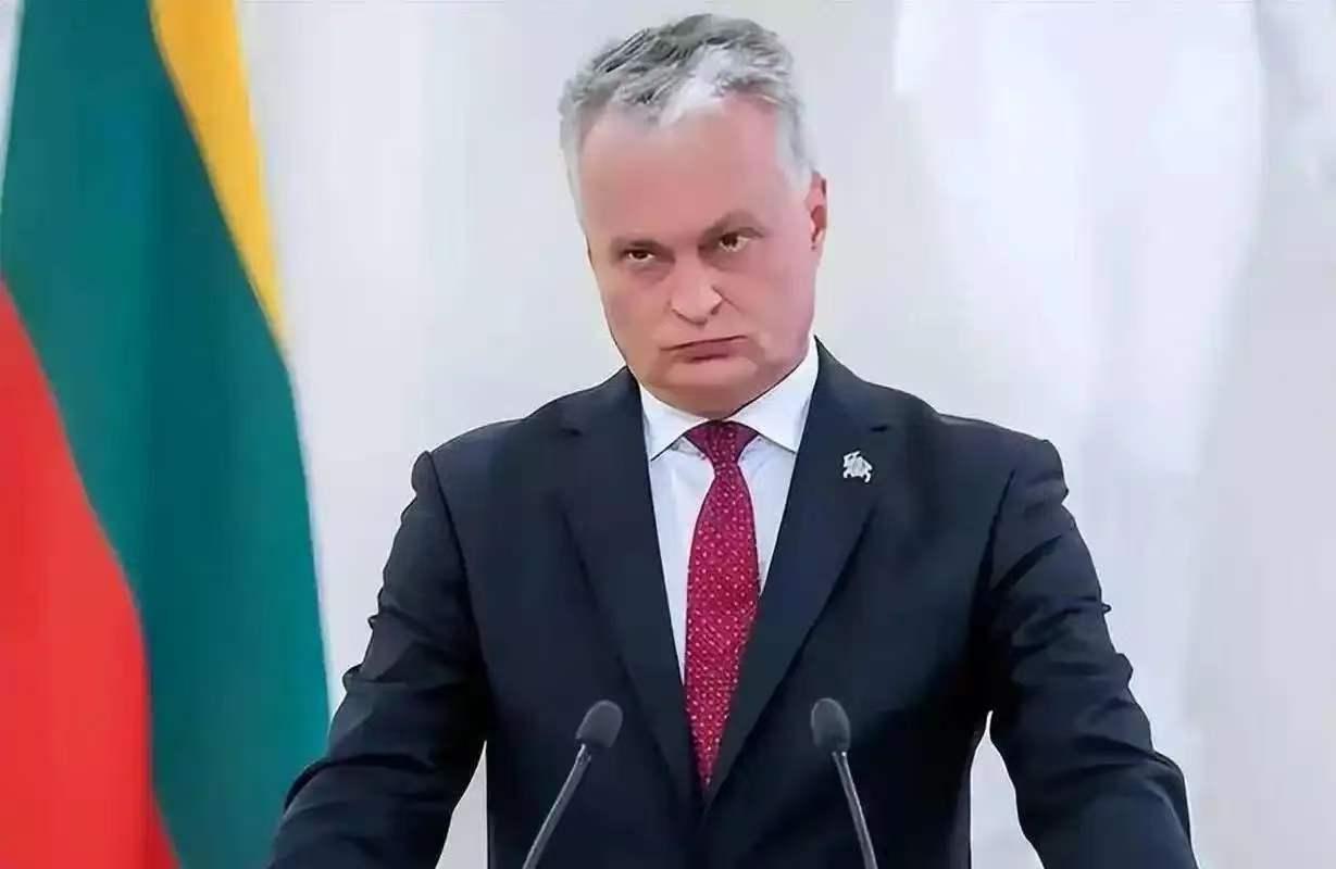 美国即将迎来强援！立陶宛总统瑙塞达的首席外交政策顾问阿斯塔·斯凯斯吉里特3日称，