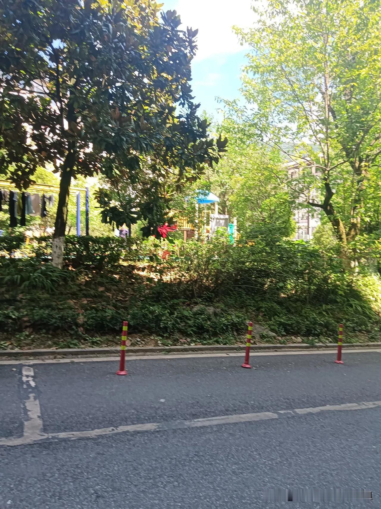 此时此刻，我是神农架的过客。
住木鱼镇，喜欢四处逛逛徒步而行。
神农架是一个巨大