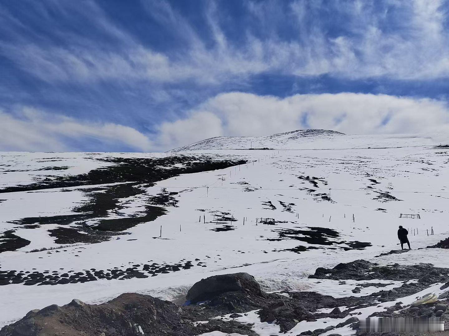 山美水美家乡美 驱车穿行阿禾公路，一路邂逅巍峨雪山。漫山野花开得肆意，清风裹挟着