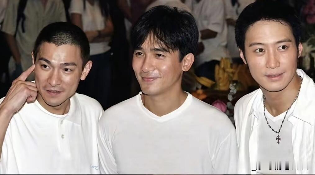早些年三位男明星里，黎明确实帅，演技也好，长相，儒雅，不做作，整个面部轮廓完美，