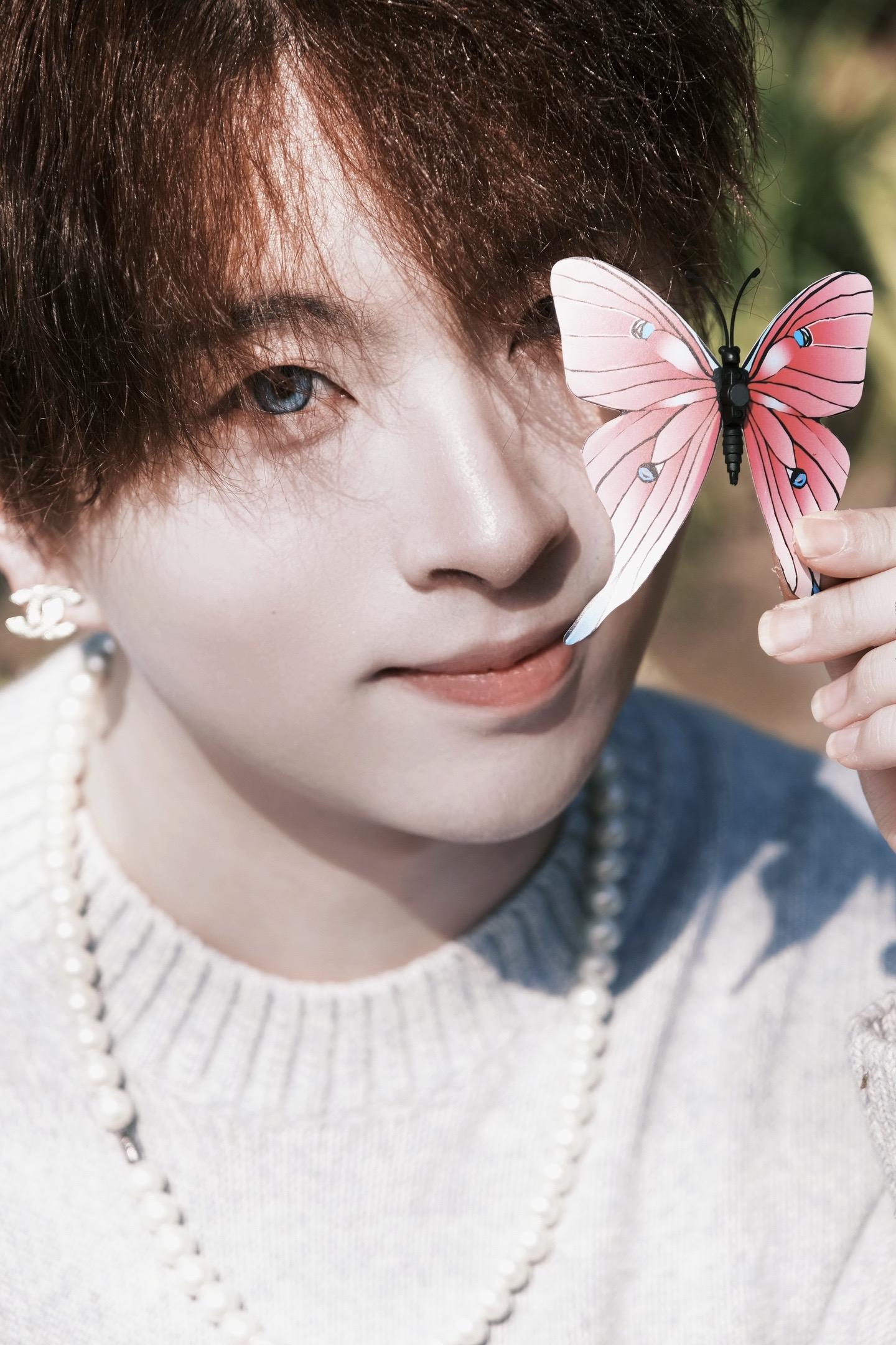 🦋蝴蝶振翅的频率
