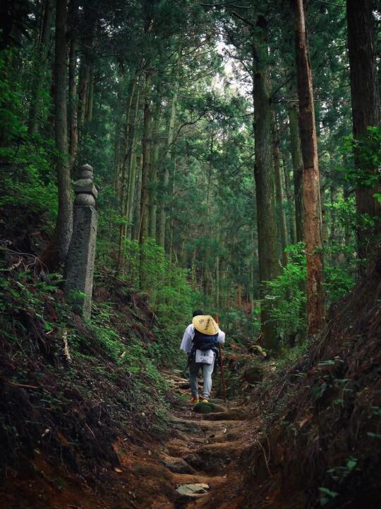 日本十大人气徒步线🔥你走过几条？（收藏）