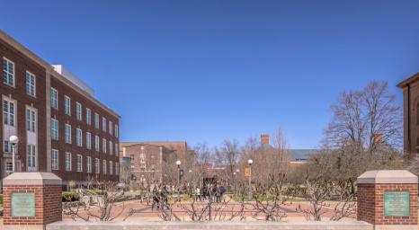 “国家买单”的稳定铁饭碗项目，普通家庭必看
高考填报志愿的时候，除了热门的大厂高