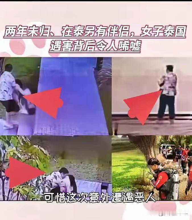 泰国这案子，
想想都后背发凉，原本是老乡见老乡，没想到背后来一枪。

赵天行，陕