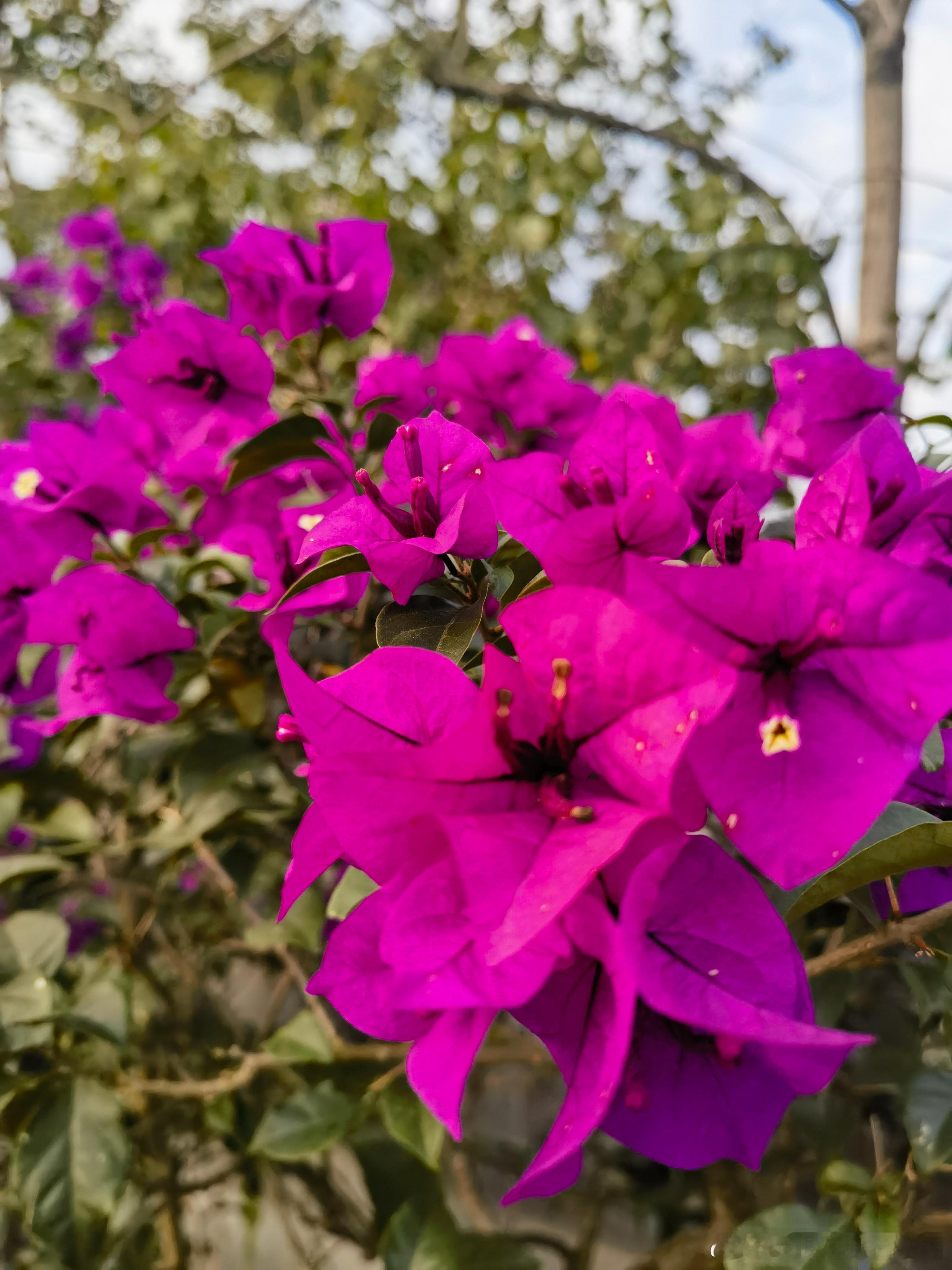 三年入门，五年入行，十年称王三年入门：掌握基础，能独立完成常规工作。    【从