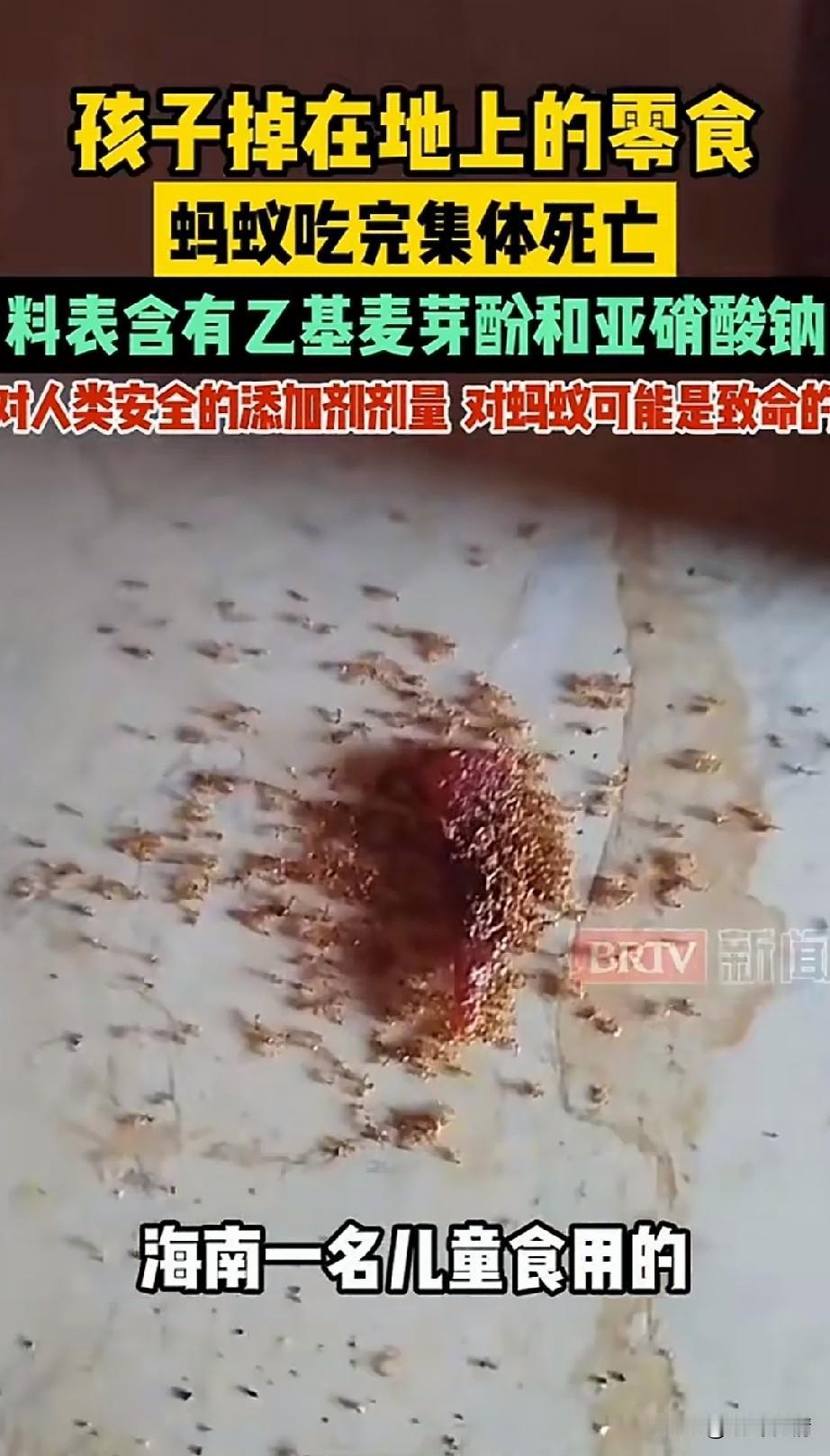 近日，海南一个孩子，
吃的零食掉在地上，
蚂蚁吃过之后群体性死亡，
看到这个新闻