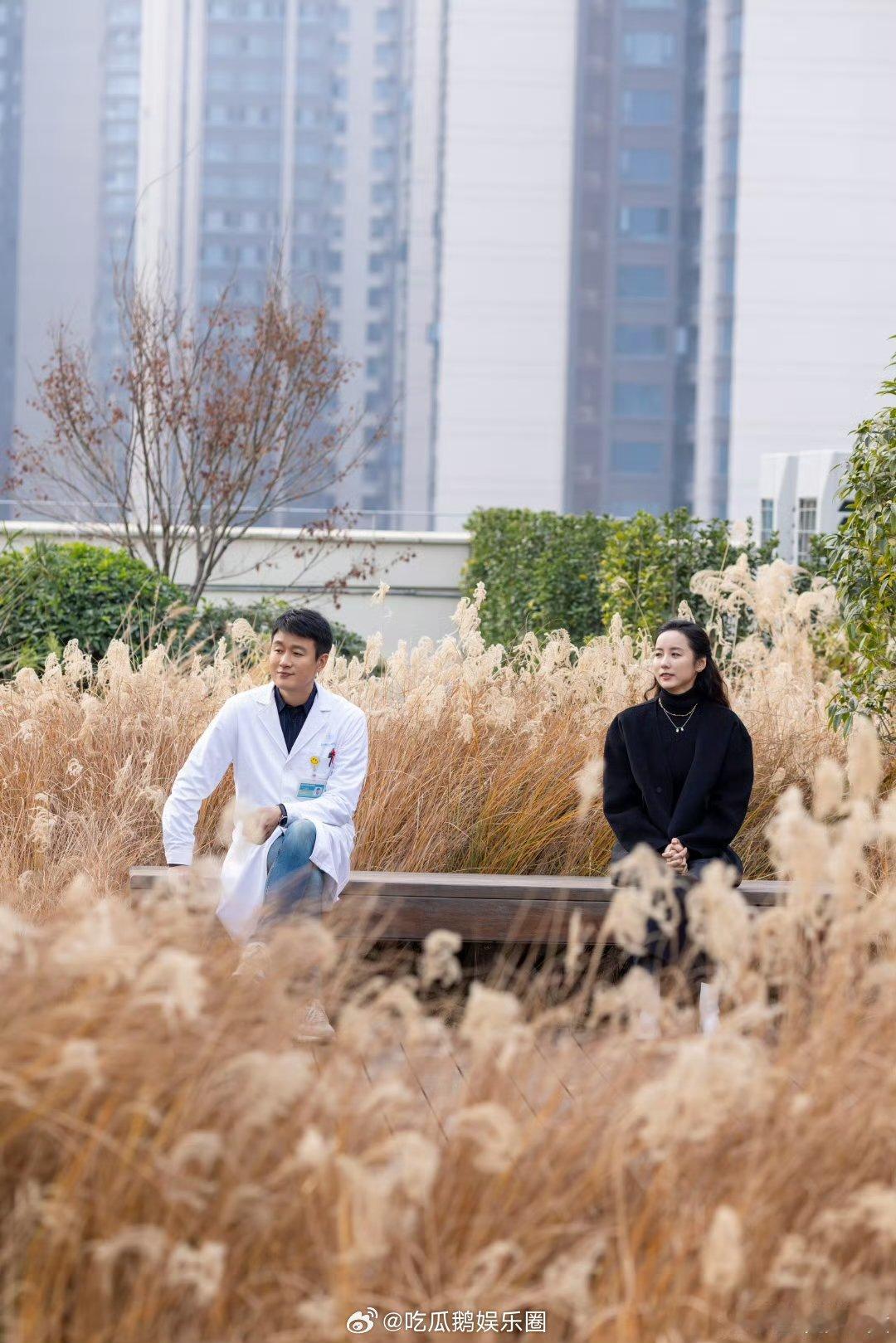 好运家实时收视创新高 《好运家》以0.9的实时收视在金鹰独播剧场领跑，剧情精彩，