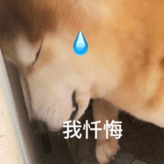 看到小红书有人列举生小孩的前提，其实我觉得都没什么毛病，就是比较典型的中产家庭养
