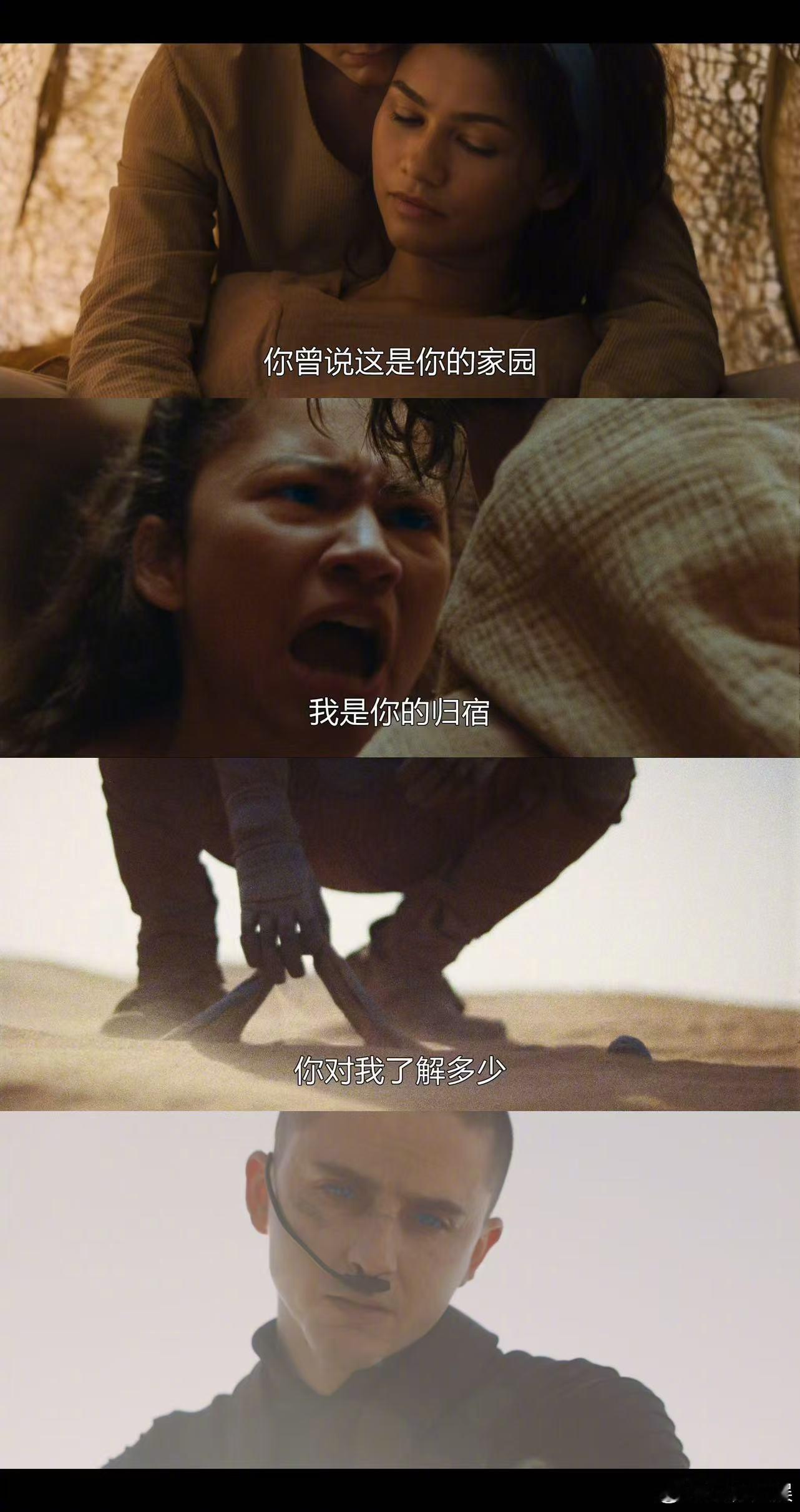 沙丘3甜茶赞达亚再见爱人电影沙丘3沙丘3甜茶赞达亚再见爱人电影沙丘3沙丘3开篇预