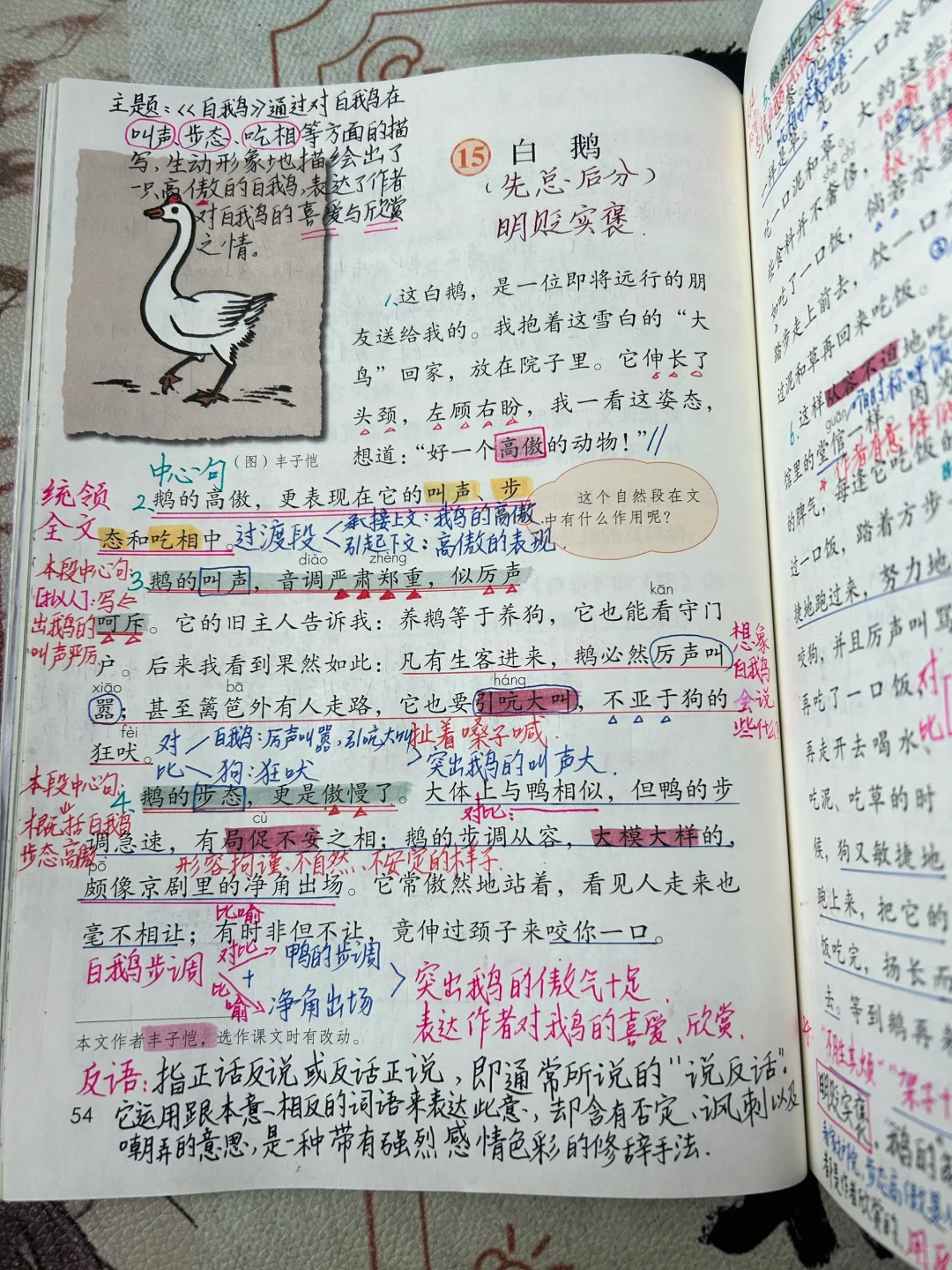 四下语文备课15《白鹅》