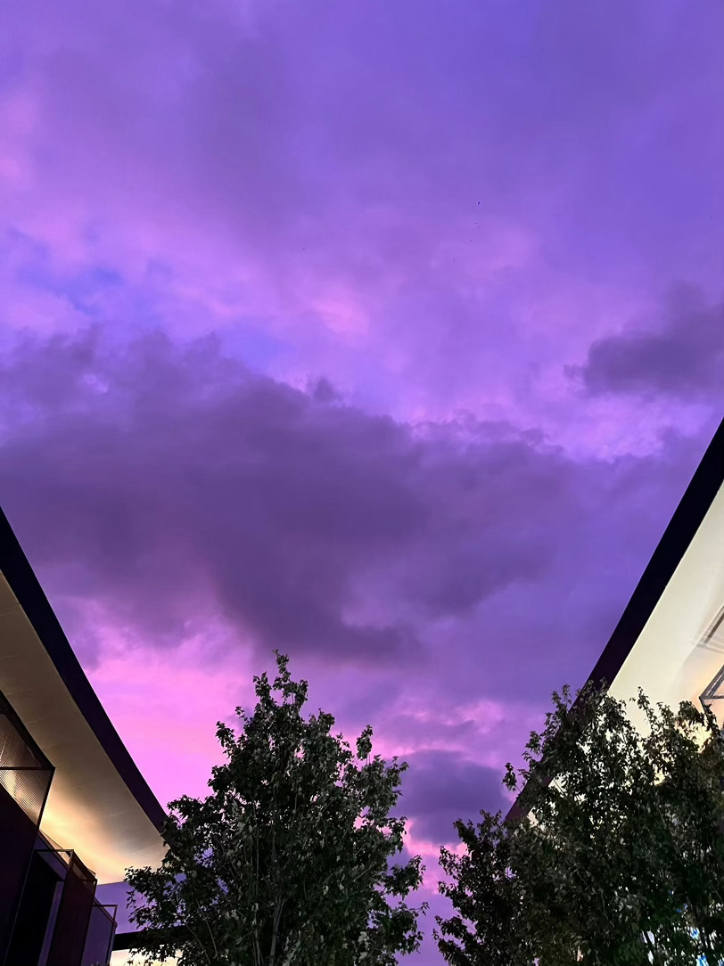 紫霞仙子是你吗💜 