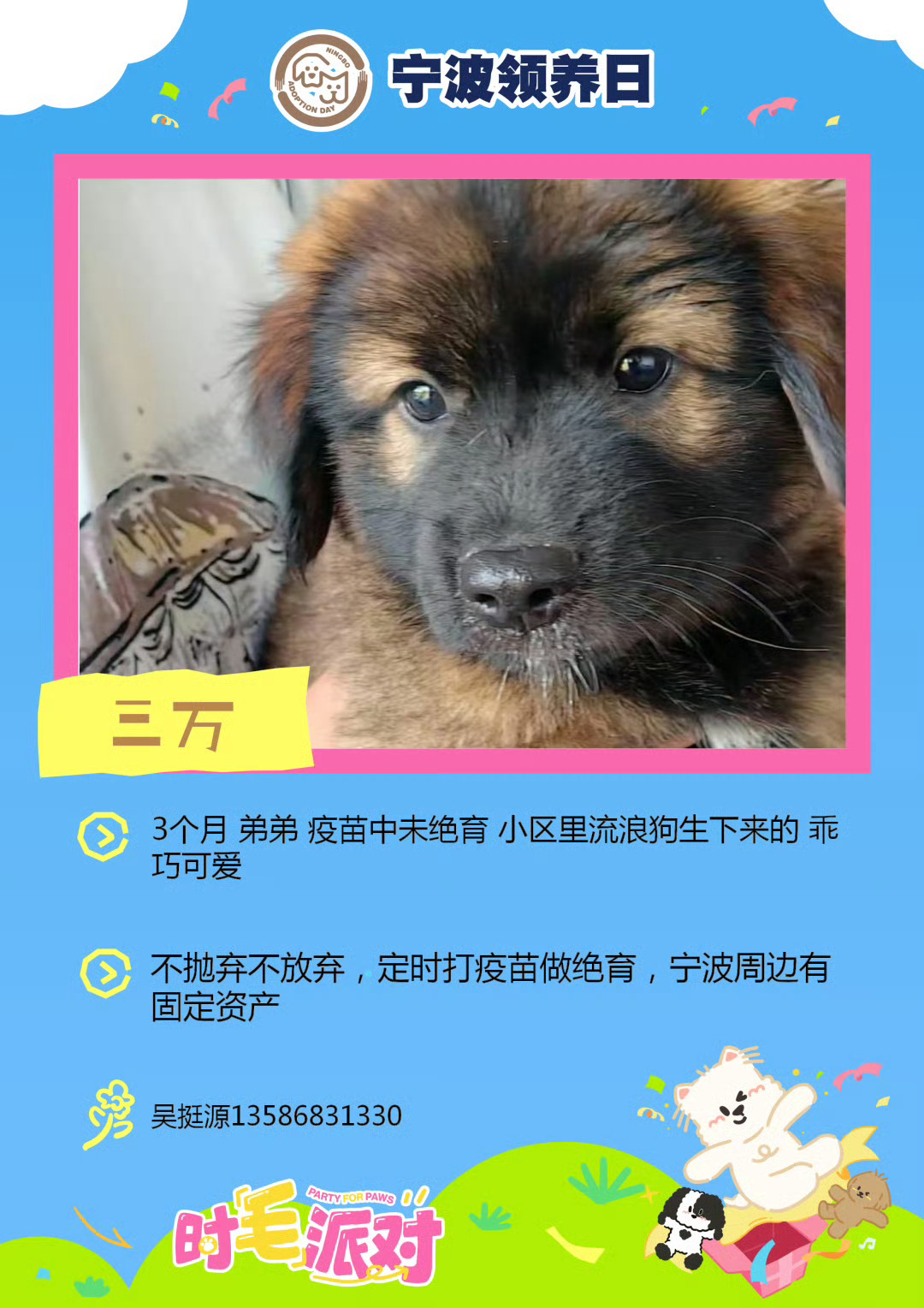 宁波领养日纳凉领养夜 时毛派对！宁波领养日纳凉领养夜宁波文化广场🐱🐶7月24