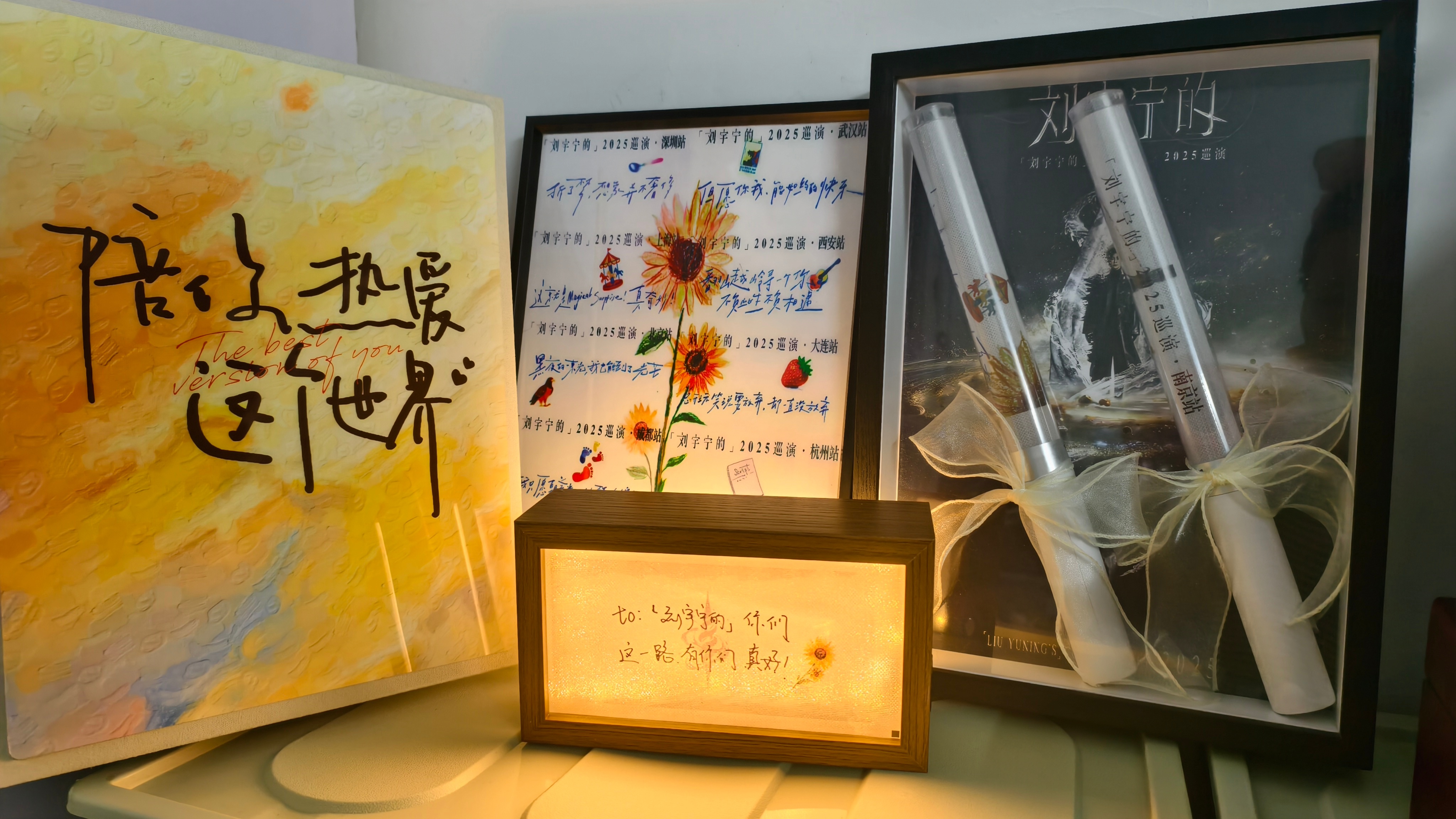 摩登兄弟 老大，我的荧光棒已经收起来了，拿个小的意思一下刘宇宁康乃馨音乐节6.0