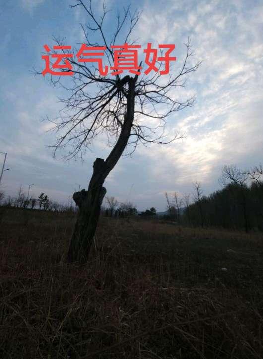 运气真好！运气 运气爆棚