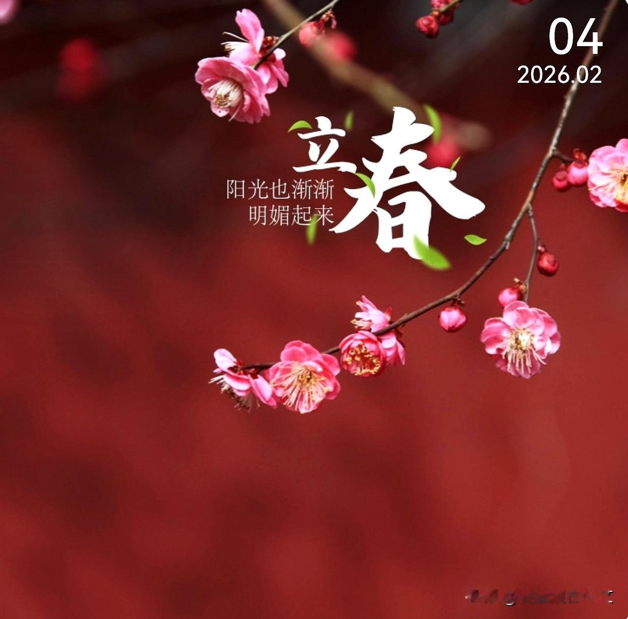 今日立春，春来万物生，万象皆美好，愿往后的每一天都能与温暖相逢。