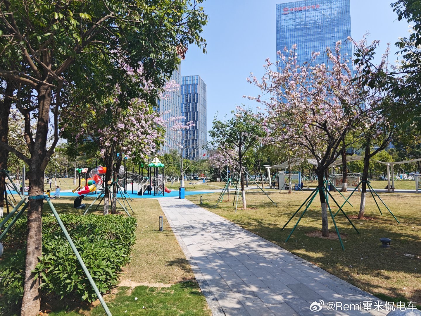 带着我的大白出来踏青蔚来汽车