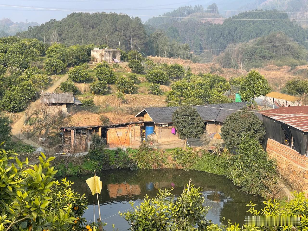 生命的旅程

在岁月的长河中，我们一路前行，  
时光如水，悄然流逝，  
每一