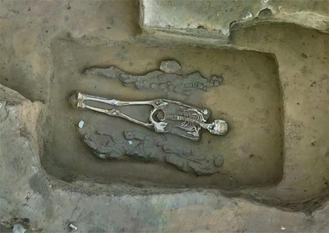 考古新发现龙凤泥塑 内蒙古寨子塔石城址M38墓葬出土距今约4300年的“龙”“凤