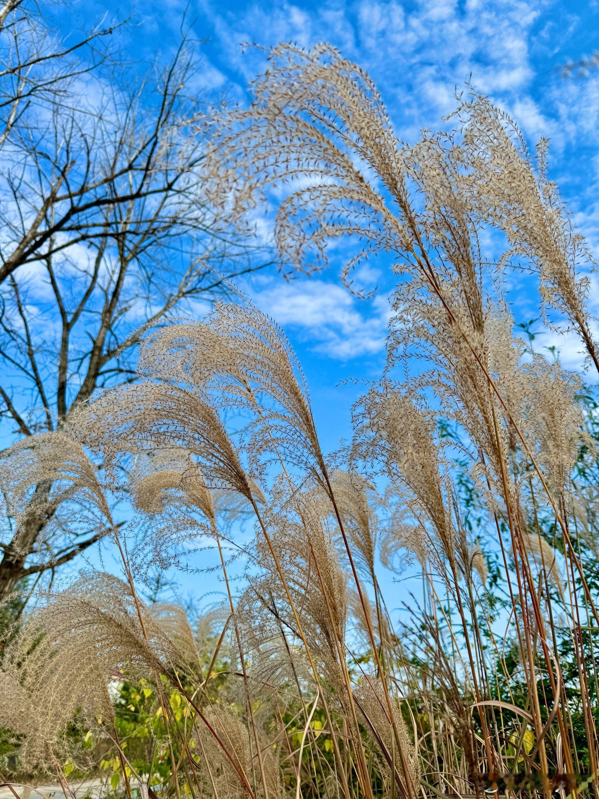 我从十月份到年假几个月去了三家医院 拍了两次ct吃了无数药丸   右边嗓子依然异