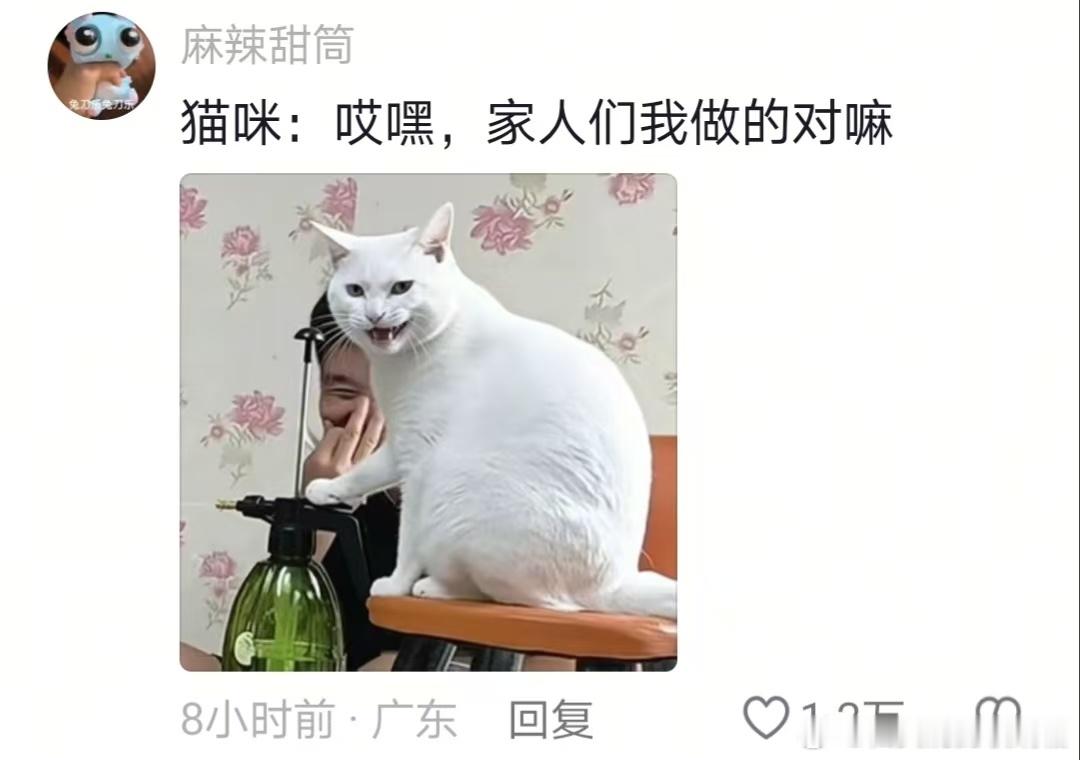 果然不管什么生物，做坏事时都很开心哈哈哈哈 